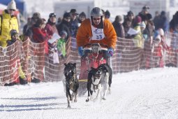 Lenk 2013